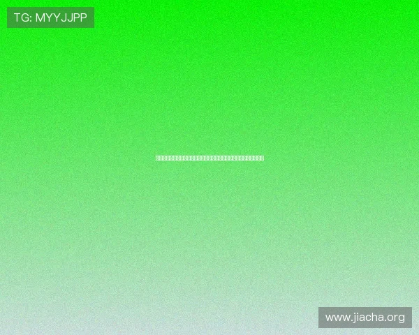 龙虎斗小游戏的最新版本更新内容和未来发展趋势全面解读与玩家建议