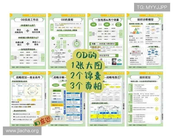 OD体育官网客户服务体系详解提供专业支持解决玩家各种疑问