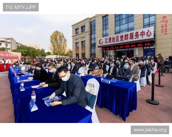 七星官方官方公告，详细解读最新版本更新内容与未来发展方向