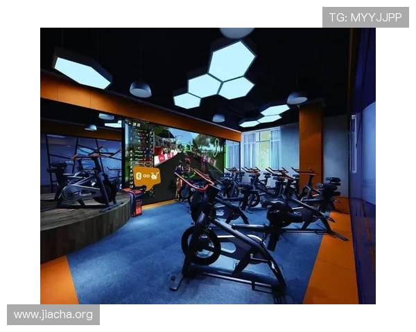 乐动体育系列网投平台用户评价与口碑分析帮助新手快速入门