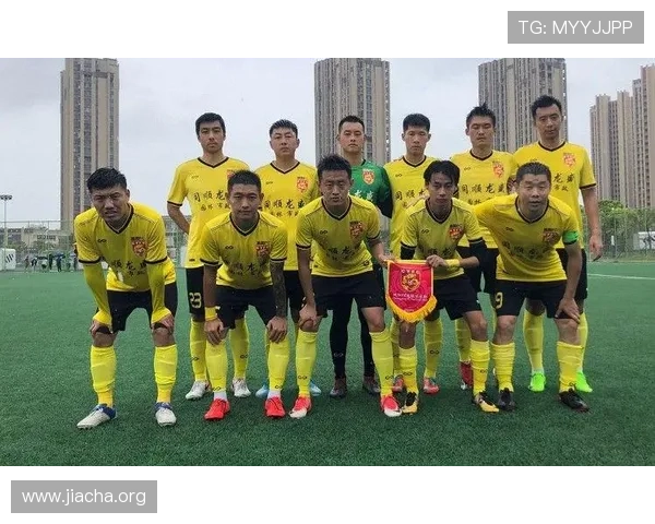 如何通过半岛体育足球官网获取权威的足球比分和战绩信息
